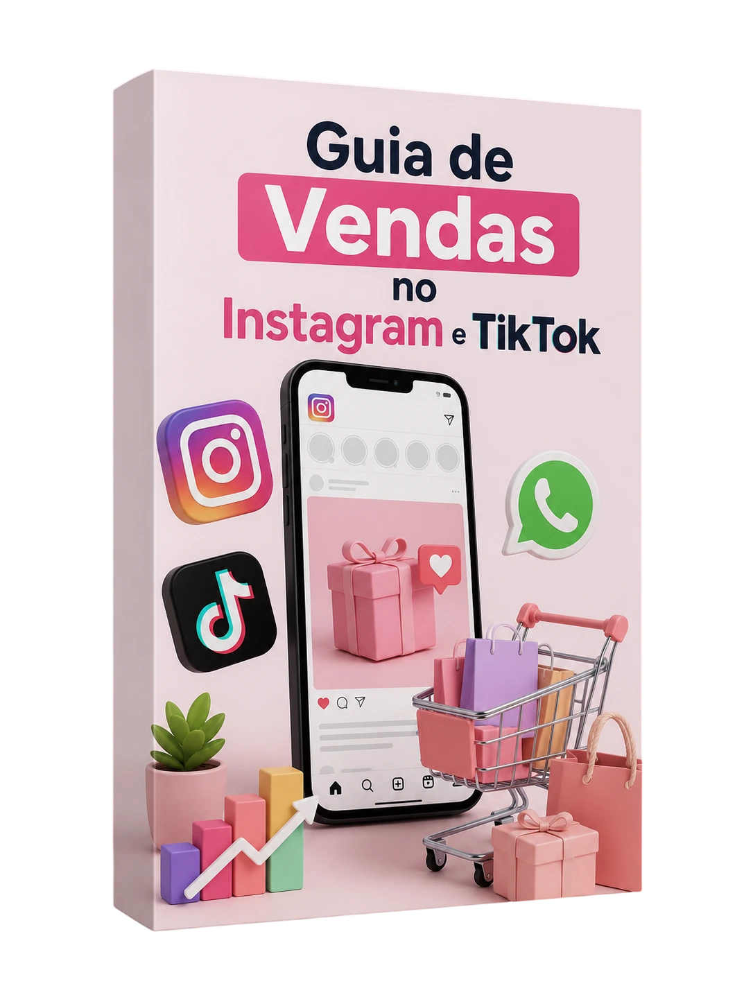 Guia de Vendas no Instagram e TikTok